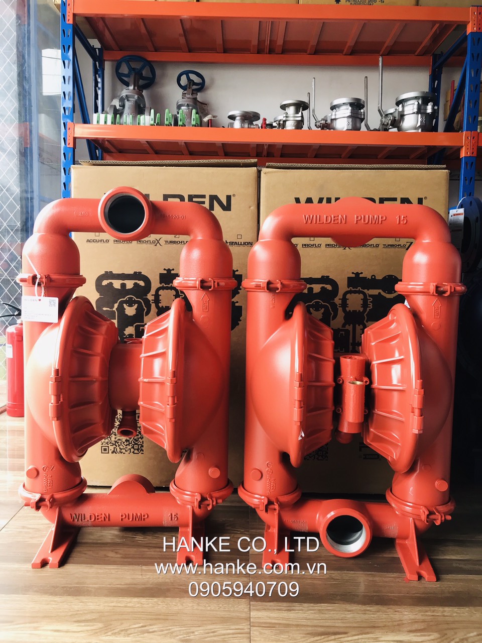 Máy bơm màng Wilden T15/AAAAB/BNS/BN/BN/0014 - Hình ảnh 2