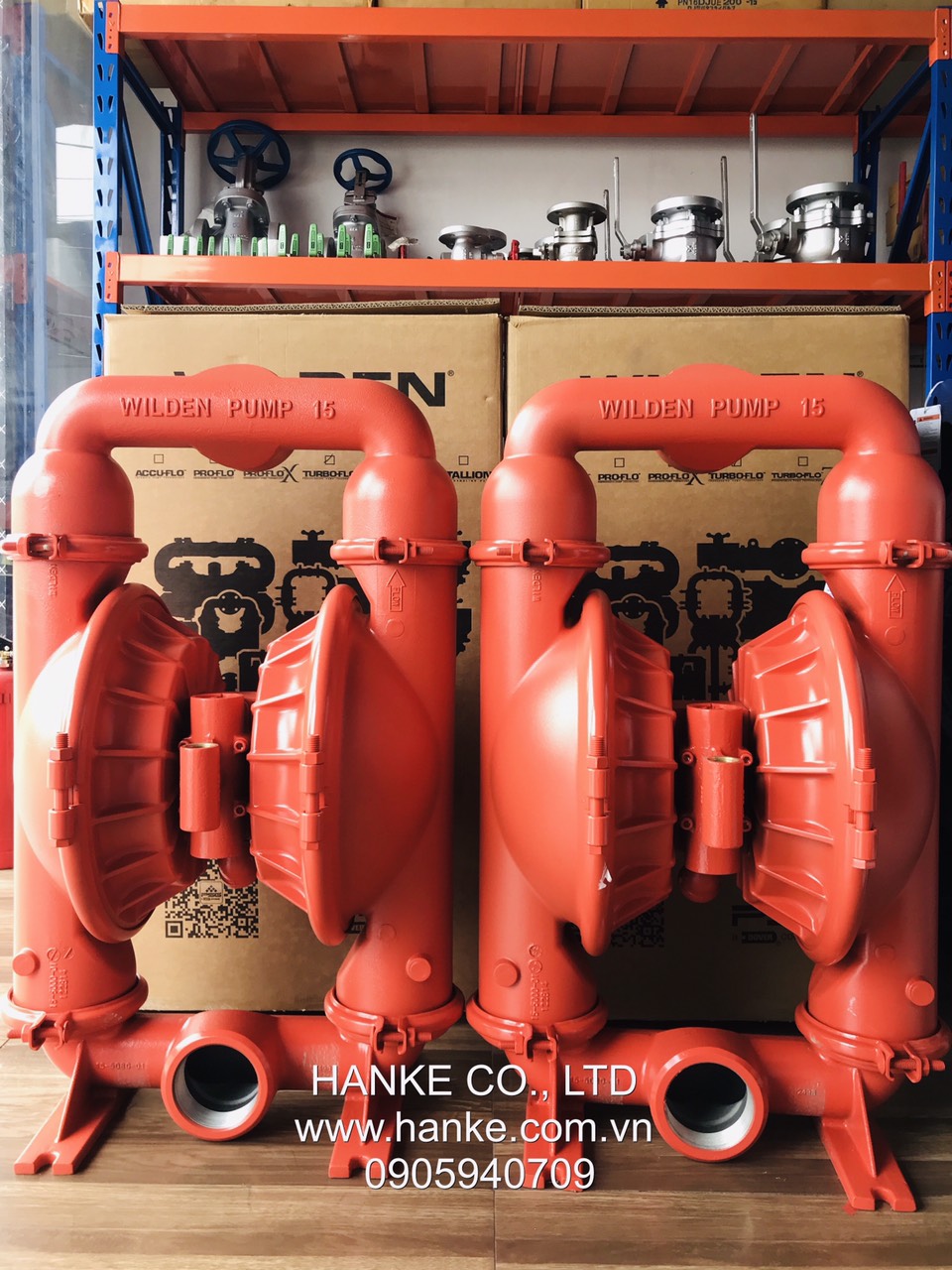 Máy bơm màng Wilden T15/AAAAB/BNS/BN/BN/0014 - Hình ảnh 3